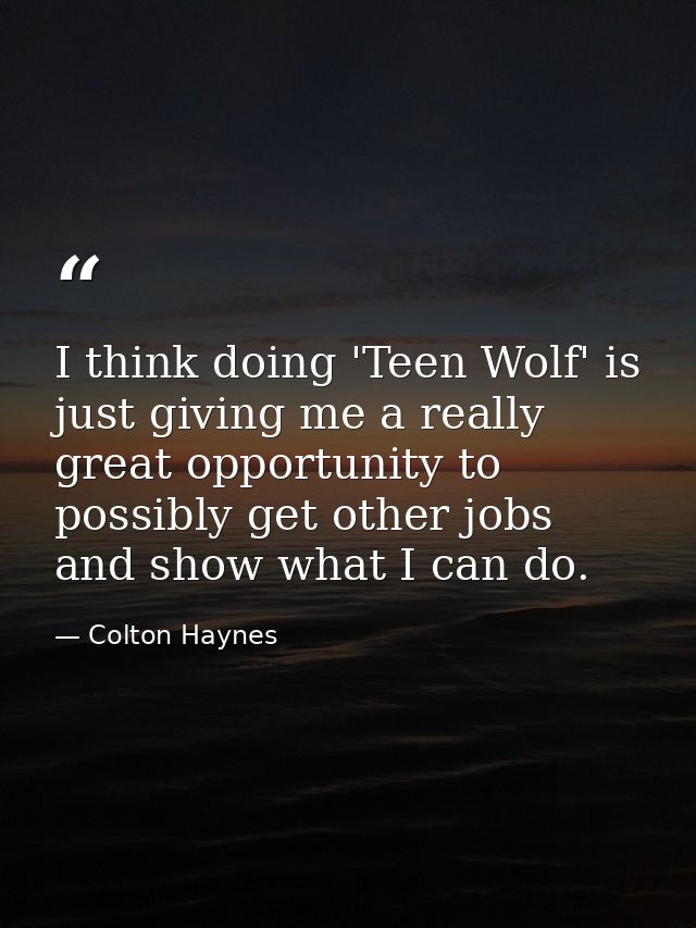 I think doing 'Teen Wolf' is just giving me a really great opportunity to possibly get other jobs and show what I can do — Colton Haynes