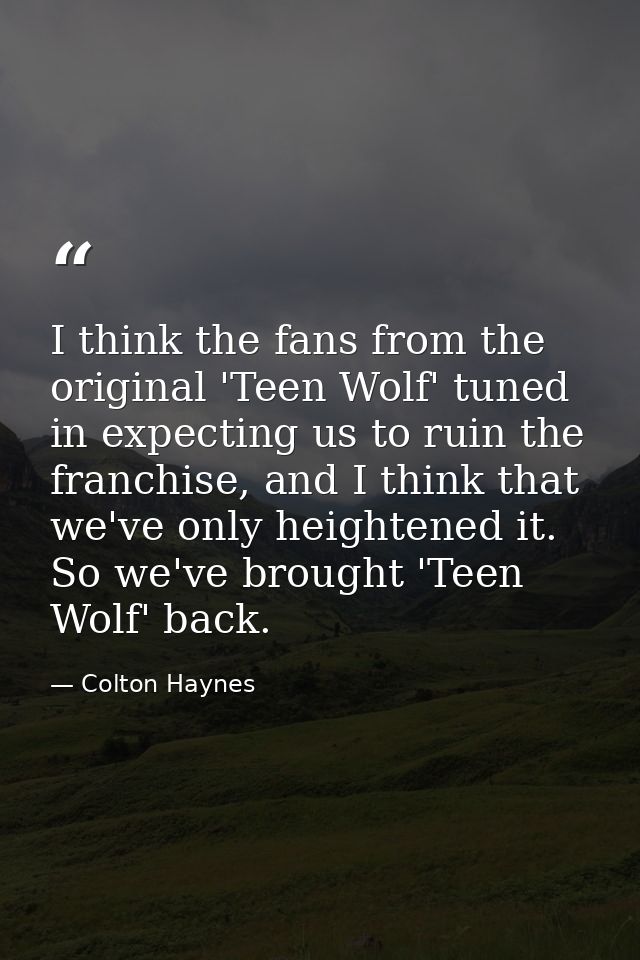 I think the fans from the original 'Teen Wolf' tuned in expecting us to ruin the franchise, and I think that we've only  — Colton Haynes