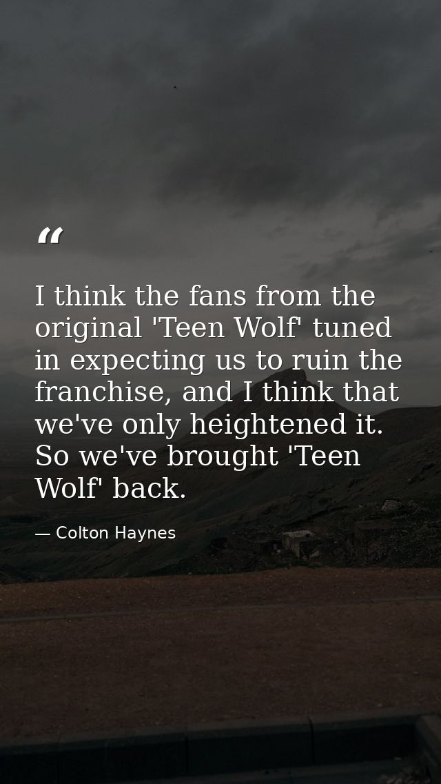 I think the fans from the original 'Teen Wolf' tuned in expecting us to ruin the franchise, and I think that we've only  — Colton Haynes