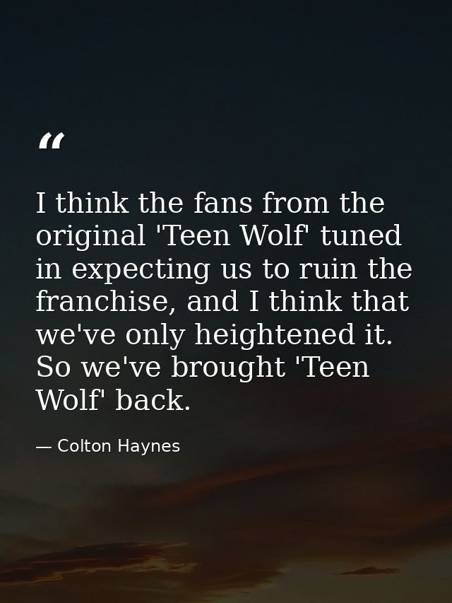 I think the fans from the original 'Teen Wolf' tuned in expecting us to ruin the franchise, and I think that we've only  — Colton Haynes