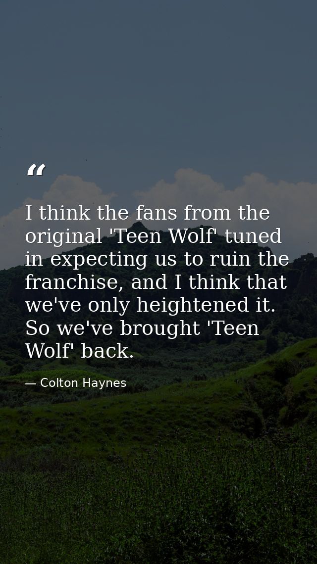 I think the fans from the original 'Teen Wolf' tuned in expecting us to ruin the franchise, and I think that we've only  — Colton Haynes