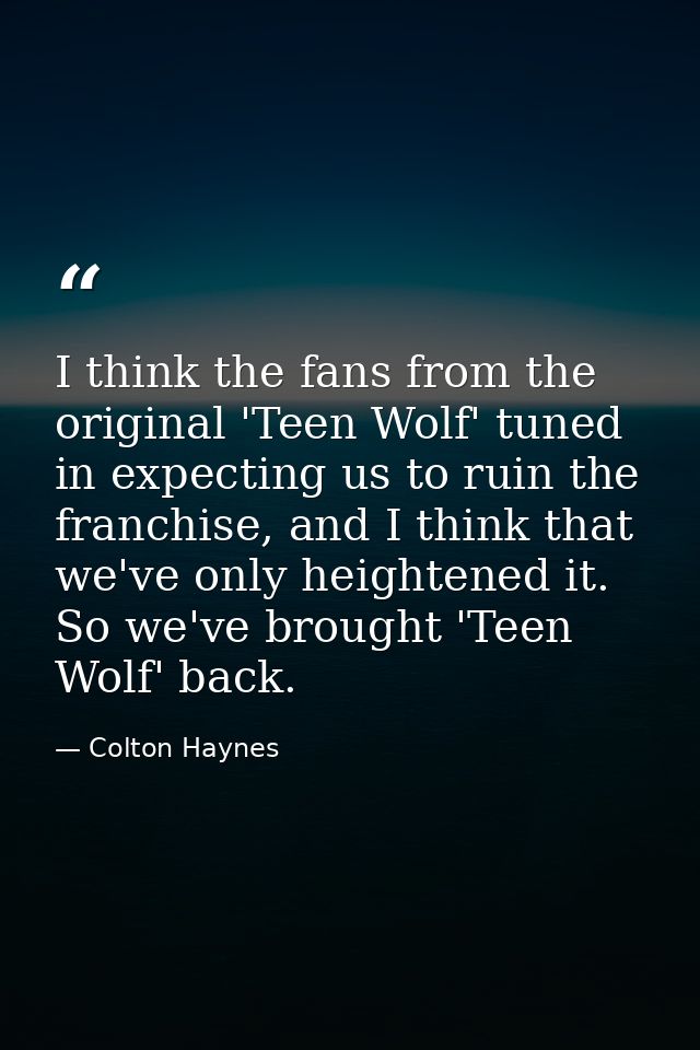 I think the fans from the original 'Teen Wolf' tuned in expecting us to ruin the franchise, and I think that we've only  — Colton Haynes