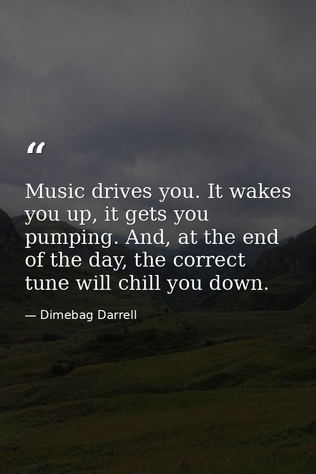 Music drives you. It wakes you up, it gets you pumping. And, at the end of the day, the correct tune will chill you down — Dimebag Darrell