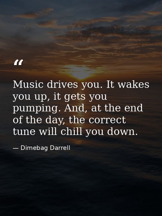 Music drives you. It wakes you up, it gets you pumping. And, at the end of the day, the correct tune will chill you down — Dimebag Darrell