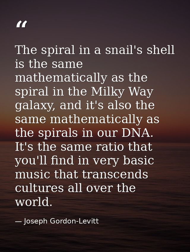 The spiral in a snail's shell is the same mathematically as the spiral in the Milky Way galaxy, and it's also the same m — Joseph Gordon-Levitt