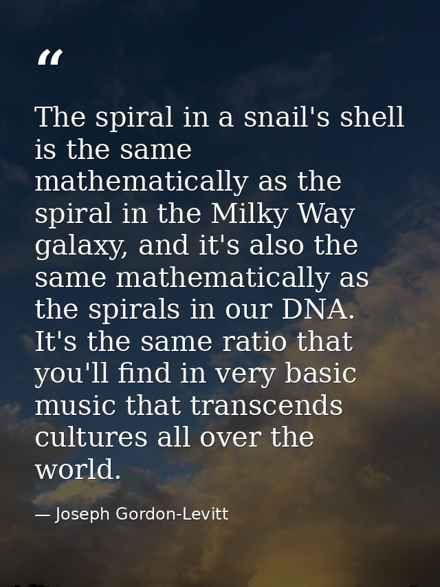 The spiral in a snail's shell is the same mathematically as the spiral in the Milky Way galaxy, and it's also the same m — Joseph Gordon-Levitt