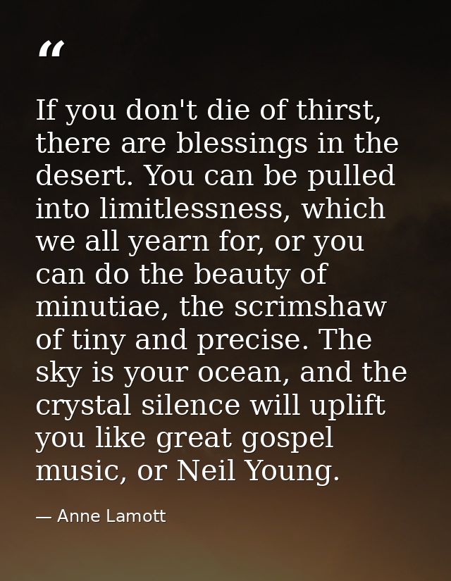If you don't die of thirst, there are blessings in the desert. You can be pulled into limitlessness, which we all yearn  — Anne Lamott