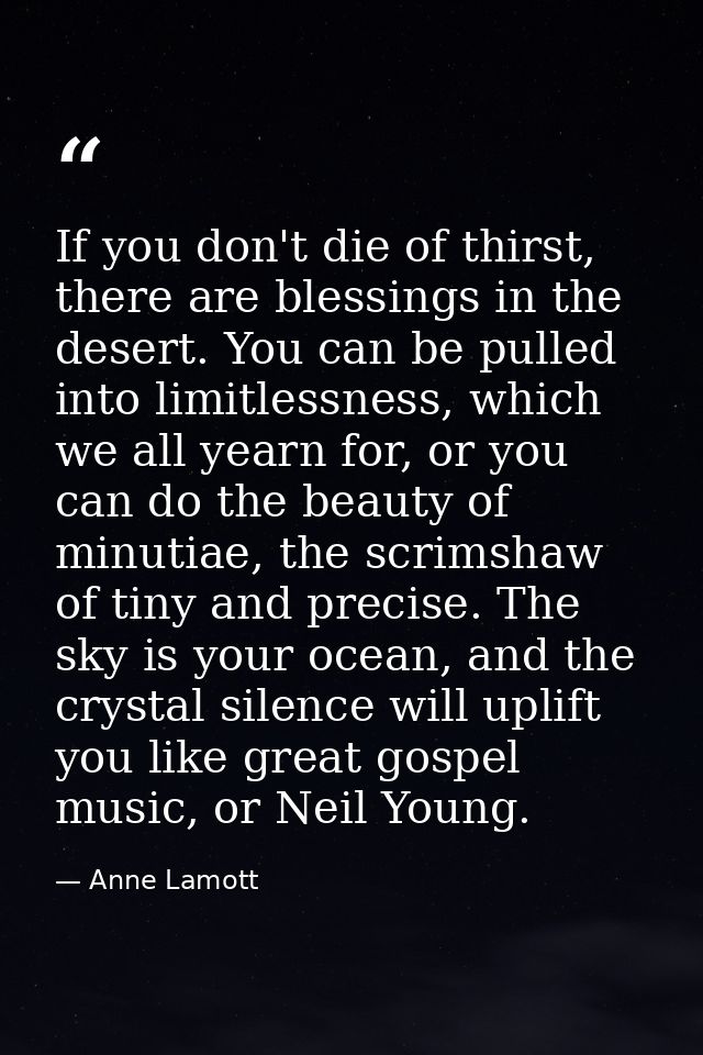 If you don't die of thirst, there are blessings in the desert. You can be pulled into limitlessness, which we all yearn  — Anne Lamott