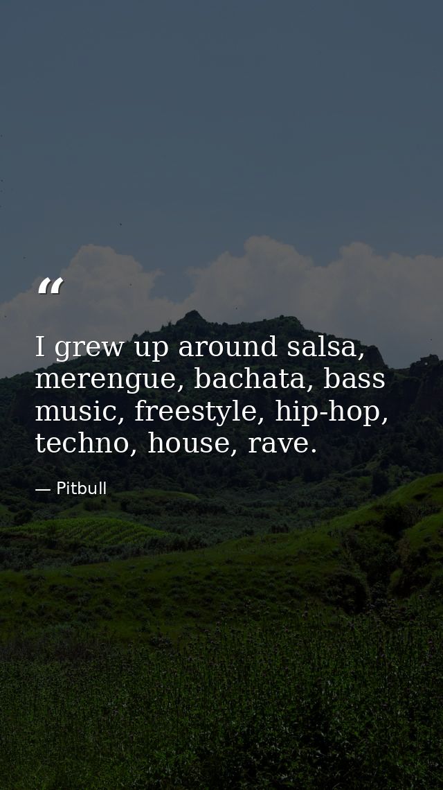 I grew up around salsa, merengue, bachata, bass music, freestyle, hip-hop, techno, house, rave. — Pitbull