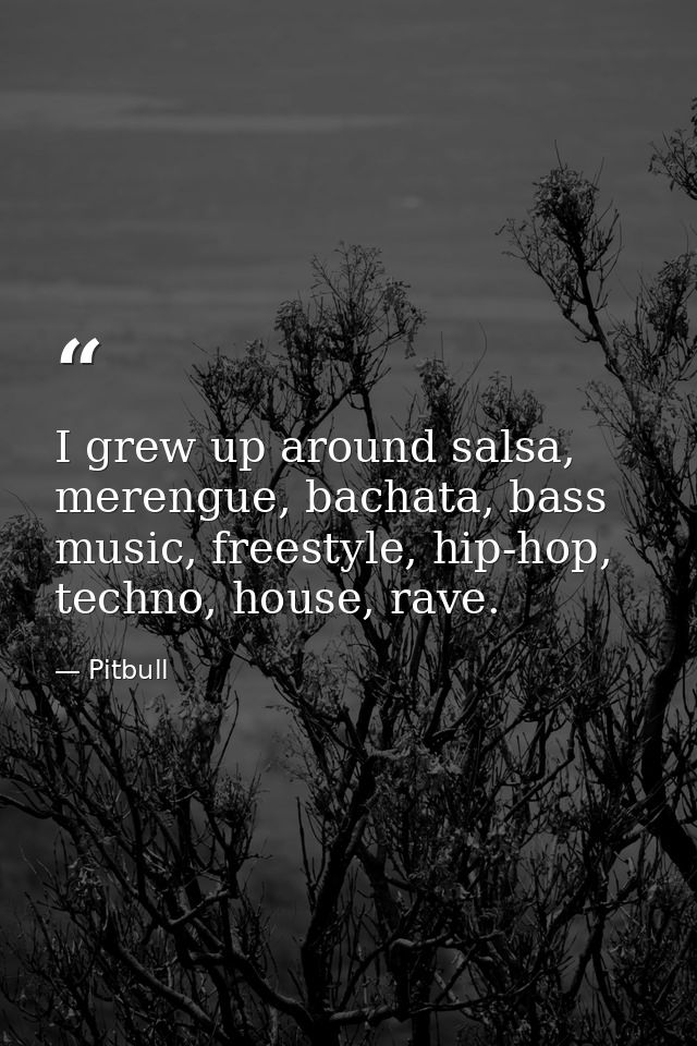I grew up around salsa, merengue, bachata, bass music, freestyle, hip-hop, techno, house, rave. — Pitbull