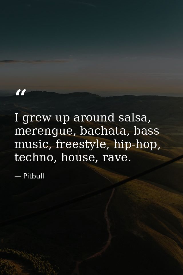 I grew up around salsa, merengue, bachata, bass music, freestyle, hip-hop, techno, house, rave. — Pitbull