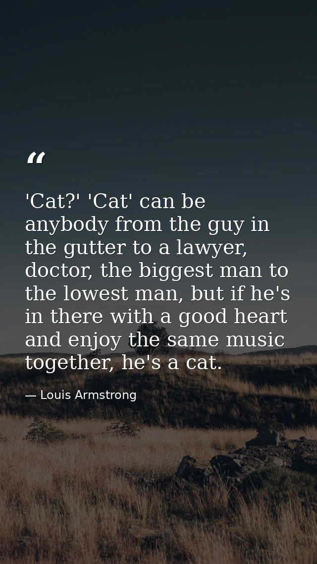 'Cat?' 'Cat' can be anybody from the guy in the gutter to a lawyer, doctor, the biggest man to the lowest man, but if he — Louis Armstrong