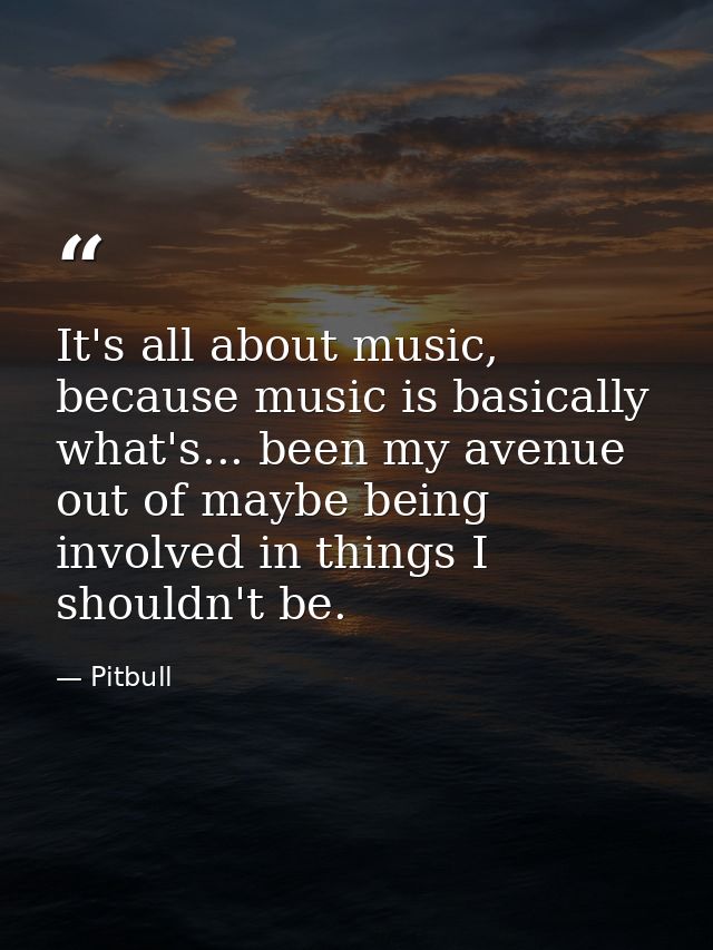 It's all about music, because music is basically what's... been my avenue out of maybe being involved in things I should — Pitbull