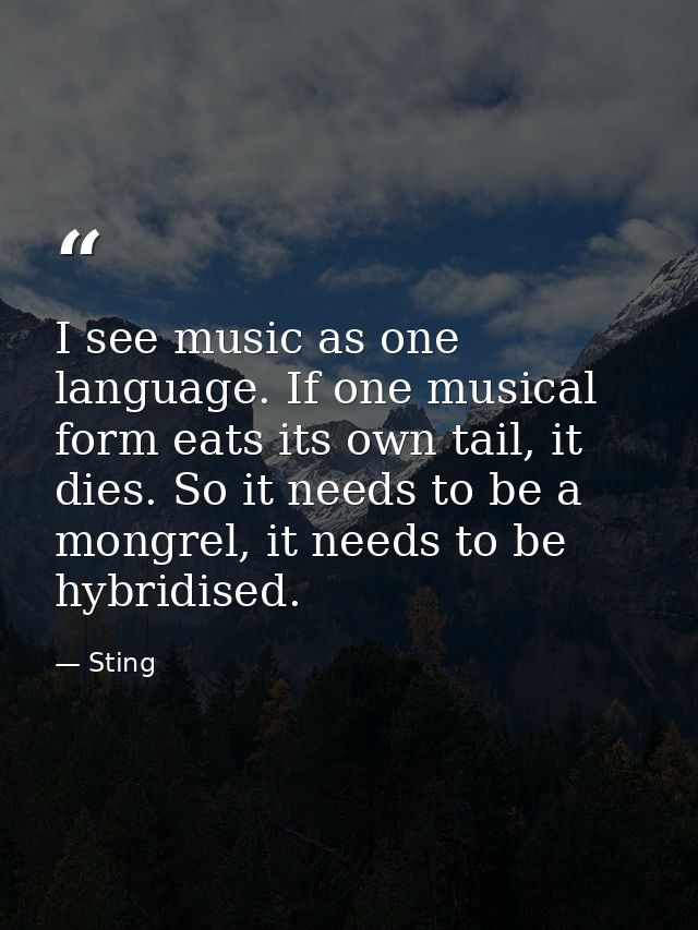 I see music as one language. If one musical form eats its own tail, it dies. So it needs to be a mongrel, it needs to be — Sting