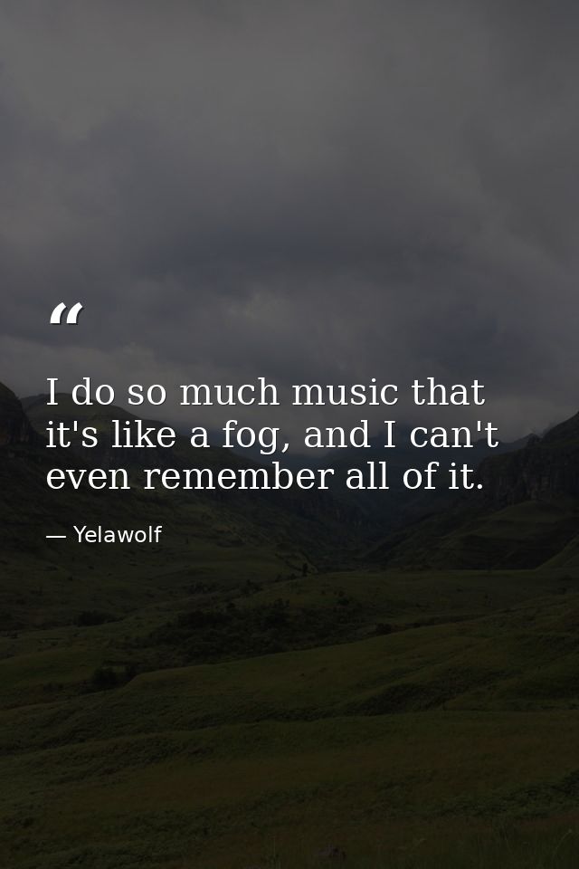 I do so much music that it's like a fog, and I can't even remember all of it. — Yelawolf