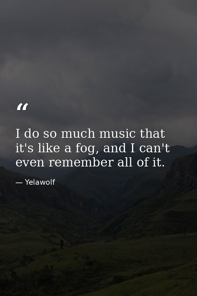 I do so much music that it's like a fog, and I can't even remember all of it. — Yelawolf
