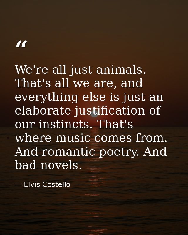 We're all just animals. That's all we are, and everything else is just an elaborate justification of our instincts. That — Elvis Costello