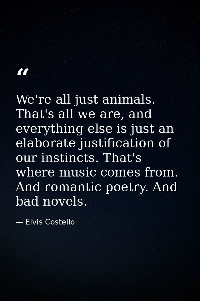We're all just animals. That's all we are, and everything else is just an elaborate justification of our instincts. That — Elvis Costello