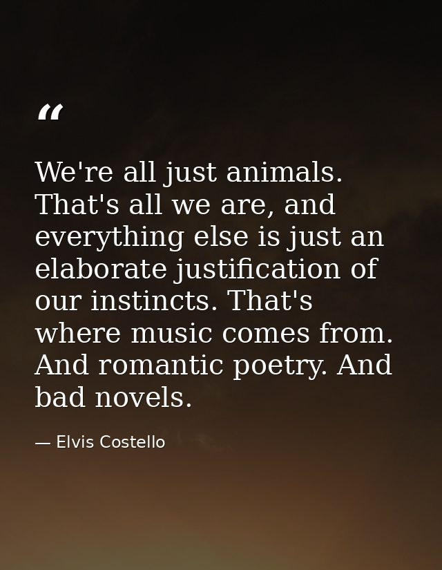 We're all just animals. That's all we are, and everything else is just an elaborate justification of our instincts. That — Elvis Costello