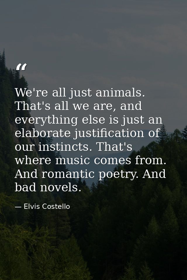 We're all just animals. That's all we are, and everything else is just an elaborate justification of our instincts. That — Elvis Costello