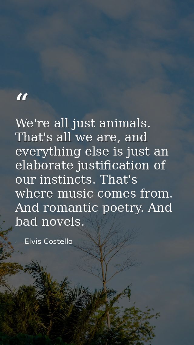 We're all just animals. That's all we are, and everything else is just an elaborate justification of our instincts. That — Elvis Costello