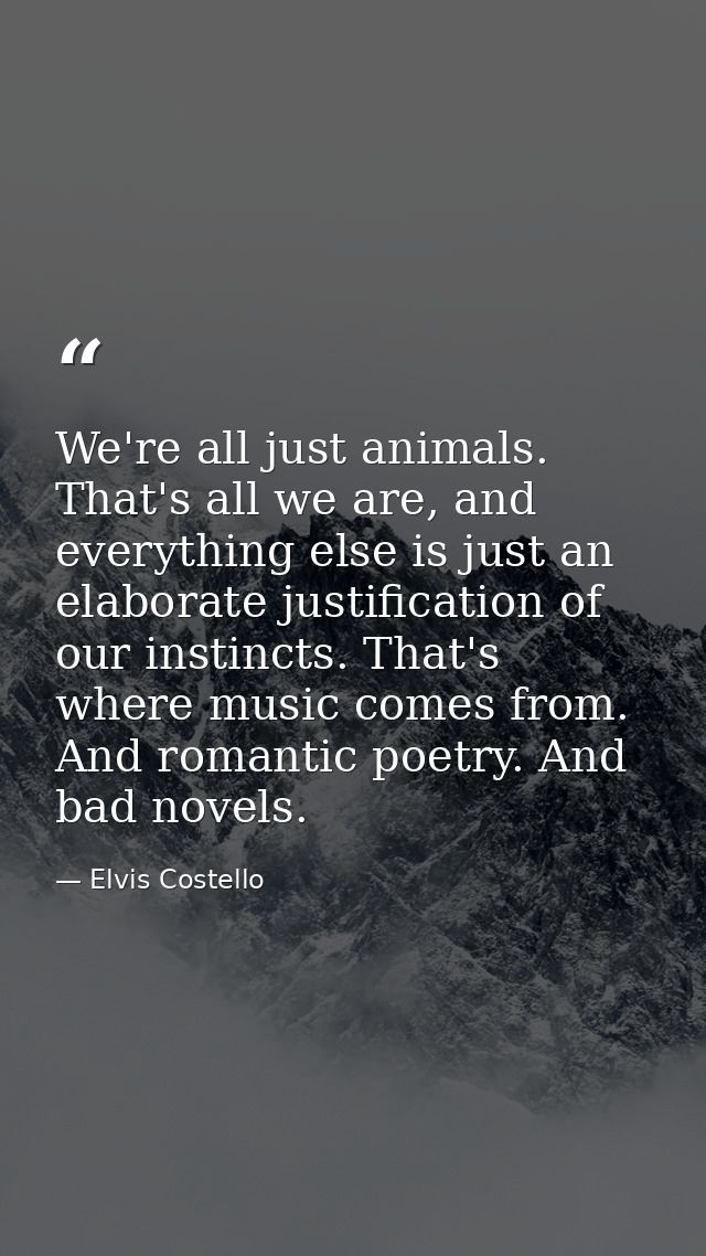 We're all just animals. That's all we are, and everything else is just an elaborate justification of our instincts. That — Elvis Costello