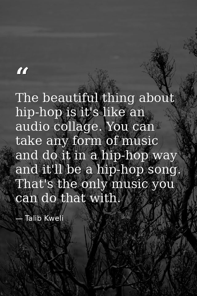 The beautiful thing about hip-hop is it's like an audio collage. You can take any form of music and do it in a hip-hop w — Talib Kweli