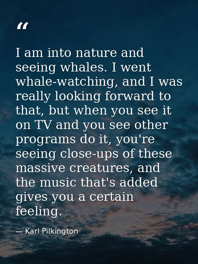 I am into nature and seeing whales. I went whale-watching, and I was really looking forward to that, but when you see it — Karl Pilkington