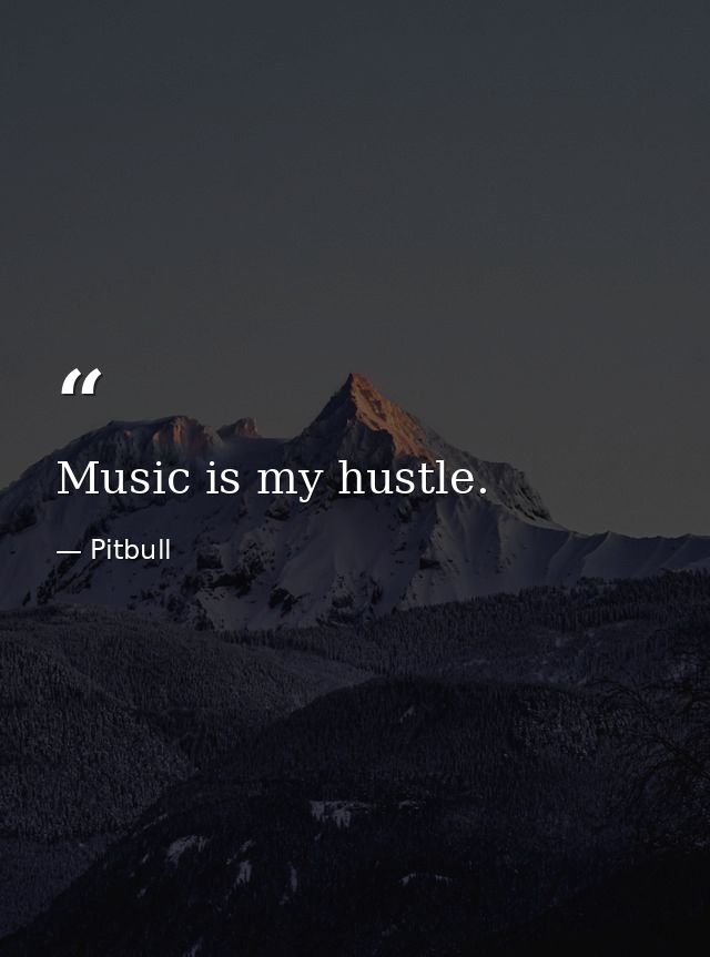 Music is my hustle. — Pitbull