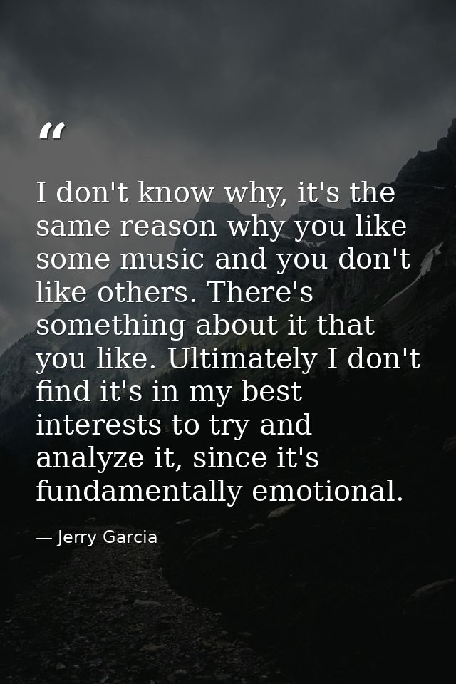 I don't know why, it's the same reason why you like some music and you don't like others. There's something about it tha — Jerry Garcia