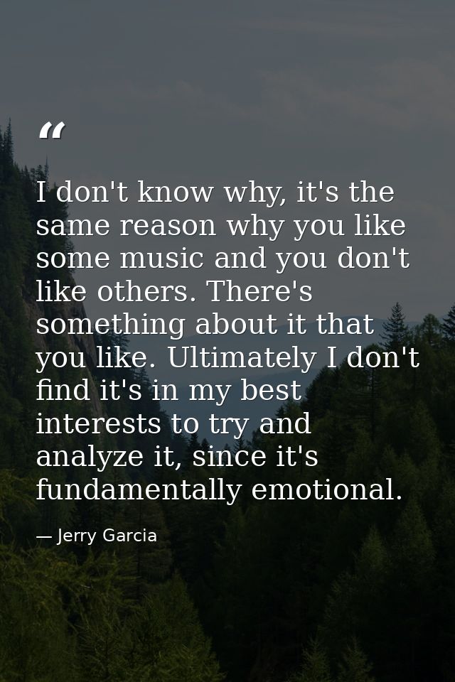 I don't know why, it's the same reason why you like some music and you don't like others. There's something about it tha — Jerry Garcia