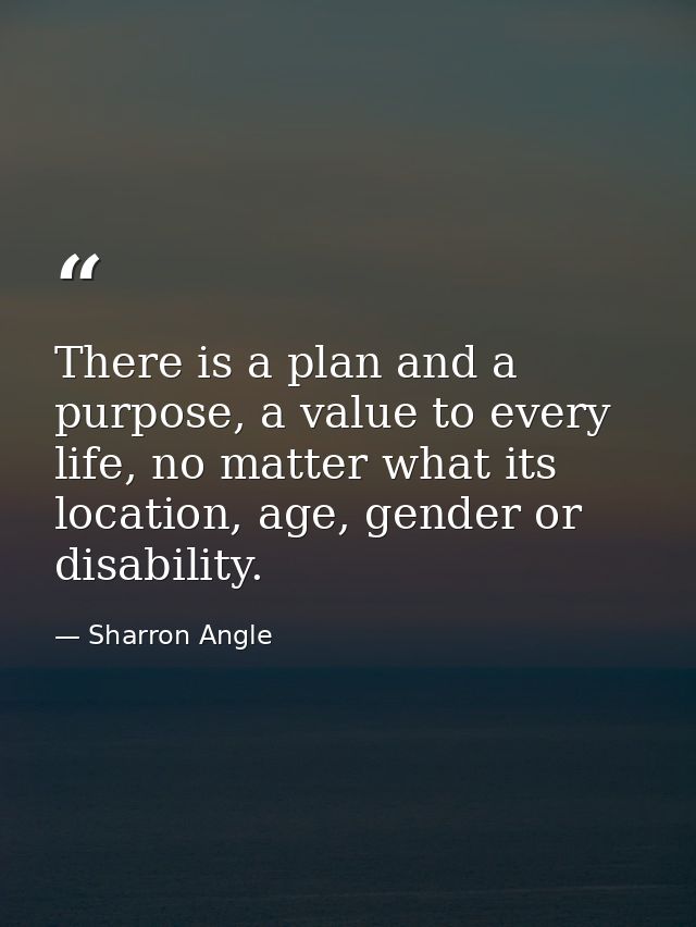 There is a plan and a purpose, a value to every life, no matter what its location, age, gender or disability. — Sharron Angle