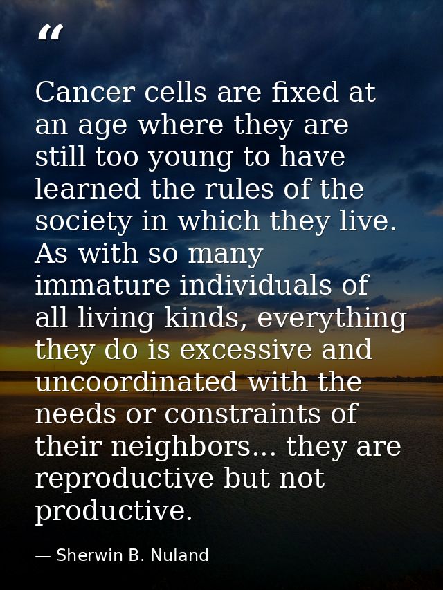 Cancer cells are fixed at an age where they are still too young to have learned the rules of the society in which they l — Sherwin B. Nuland