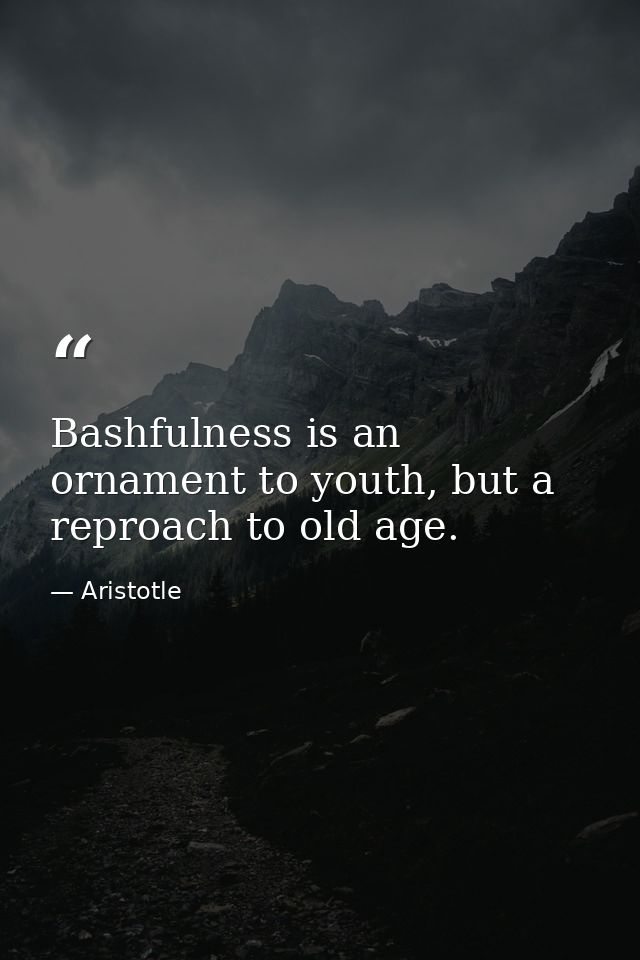 Bashfulness is an ornament to youth, but a reproach to old age. — Aristotle