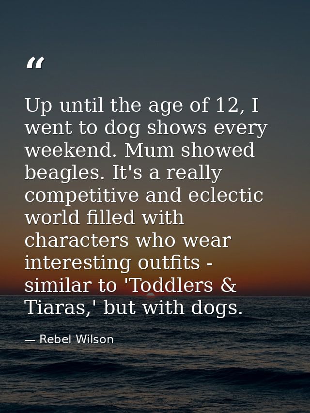 Up until the age of 12, I went to dog shows every weekend. Mum showed beagles. It's a really competitive and eclectic wo — Rebel Wilson