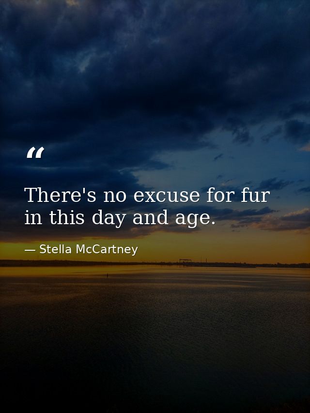 There's no excuse for fur in this day and age. — Stella McCartney
