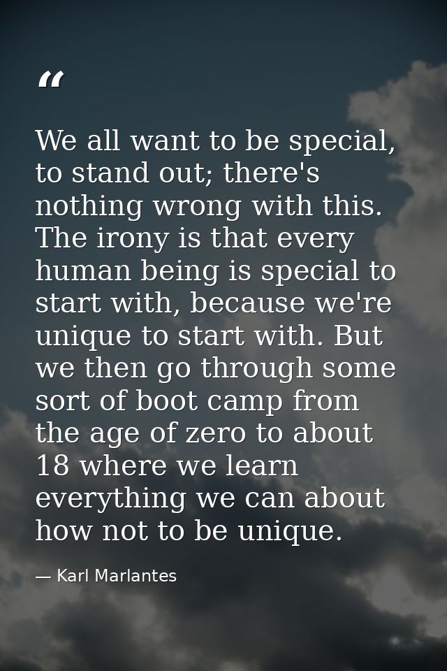 We all want to be special, to stand out; there's nothing wrong with this. The irony is that every human being is special — Karl Marlantes