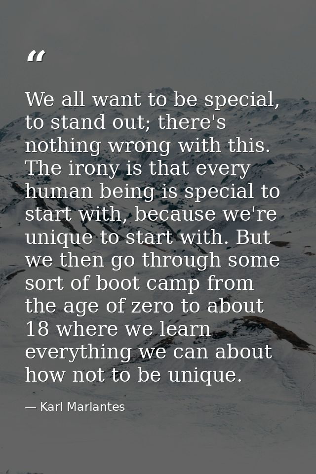 We all want to be special, to stand out; there's nothing wrong with this. The irony is that every human being is special — Karl Marlantes