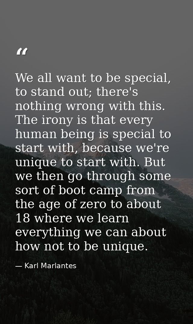 We all want to be special, to stand out; there's nothing wrong with this. The irony is that every human being is special — Karl Marlantes