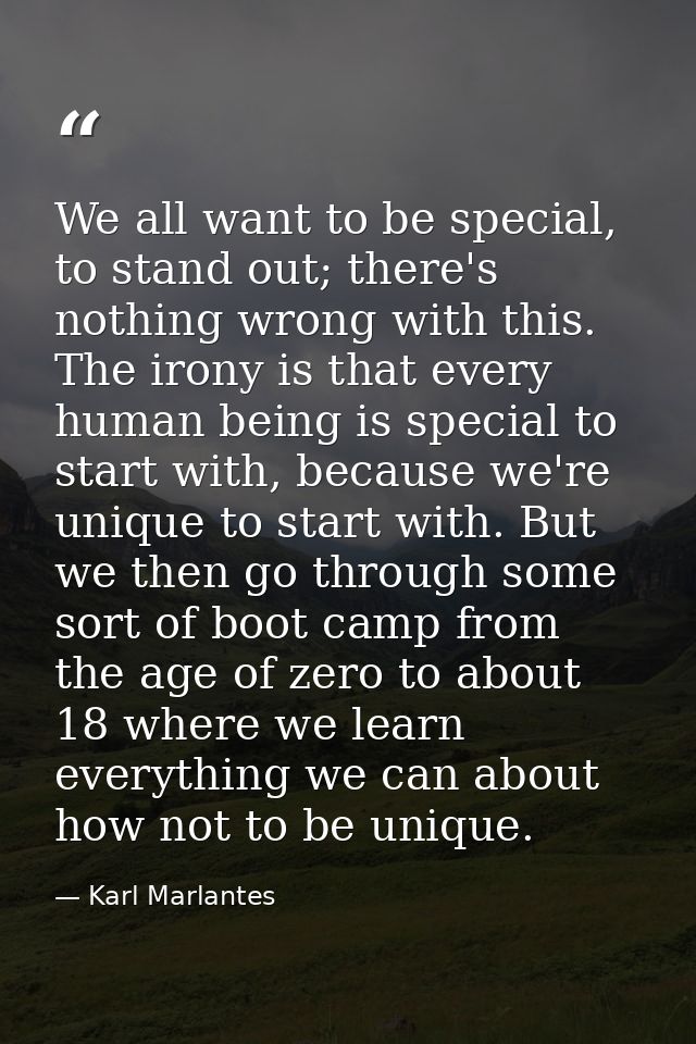 We all want to be special, to stand out; there's nothing wrong with this. The irony is that every human being is special — Karl Marlantes