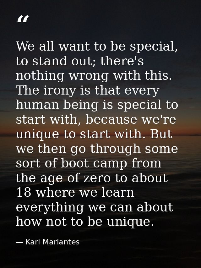 We all want to be special, to stand out; there's nothing wrong with this. The irony is that every human being is special — Karl Marlantes