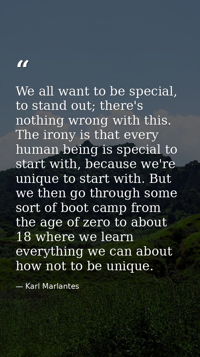 We all want to be special, to stand out; there's nothing wrong with this. The irony is that every human being is special — Karl Marlantes