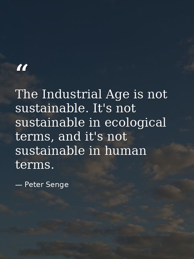 The Industrial Age is not sustainable. It's not sustainable in ecological terms, and it's not sustainable in human terms — Peter Senge