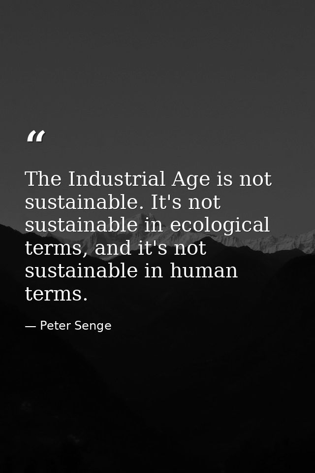 The Industrial Age is not sustainable. It's not sustainable in ecological terms, and it's not sustainable in human terms — Peter Senge