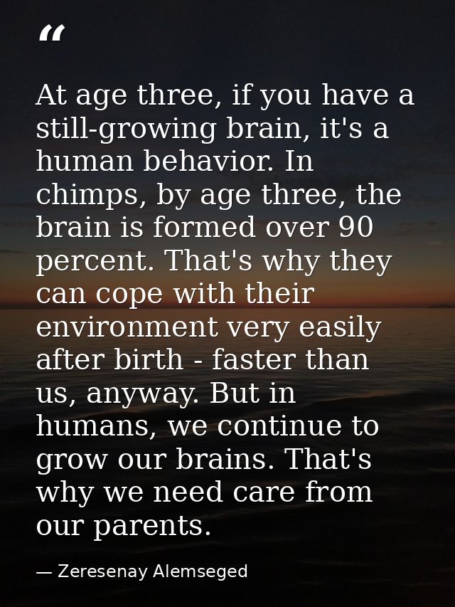 At age three, if you have a still-growing brain, it's a human behavior. In chimps, by age three, the brain is formed ove — Zeresenay Alemseged