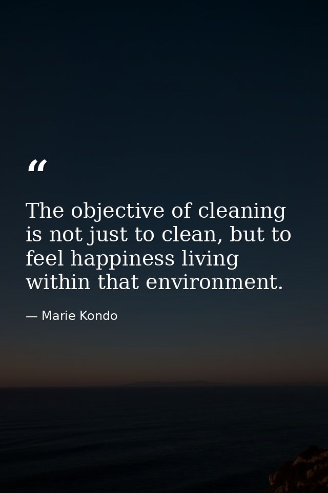 The objective of cleaning is not just to clean, but to feel happiness living within that environment. — Marie Kondo