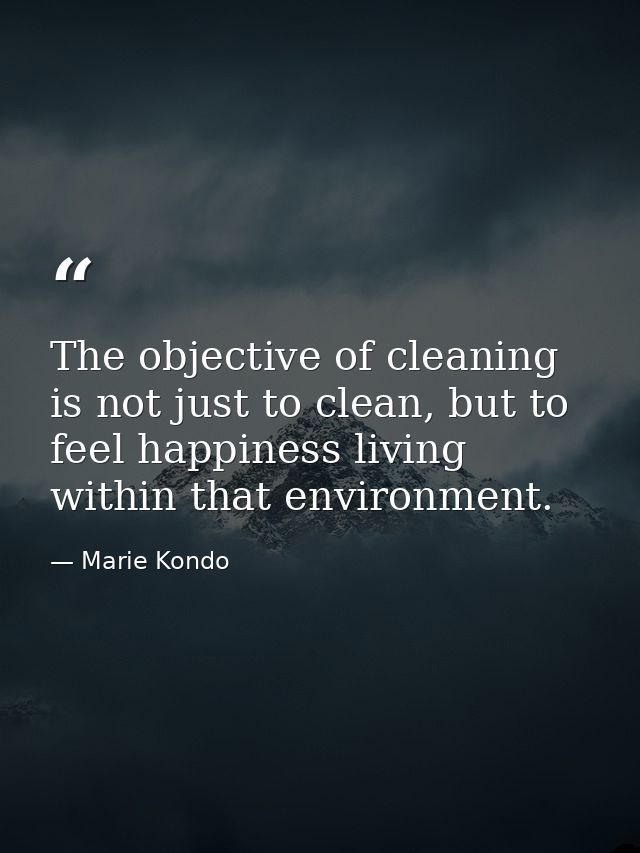 The objective of cleaning is not just to clean, but to feel happiness living within that environment. — Marie Kondo