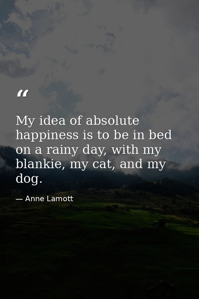 My idea of absolute happiness is to be in bed on a rainy day, with my blankie, my cat, and my dog. — Anne Lamott