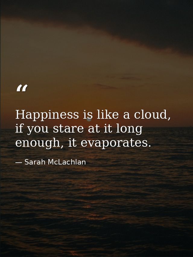 Happiness is like a cloud, if you stare at it long enough, it evaporates. — Sarah McLachlan