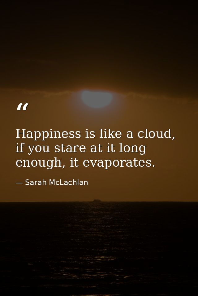 Happiness is like a cloud, if you stare at it long enough, it evaporates. — Sarah McLachlan